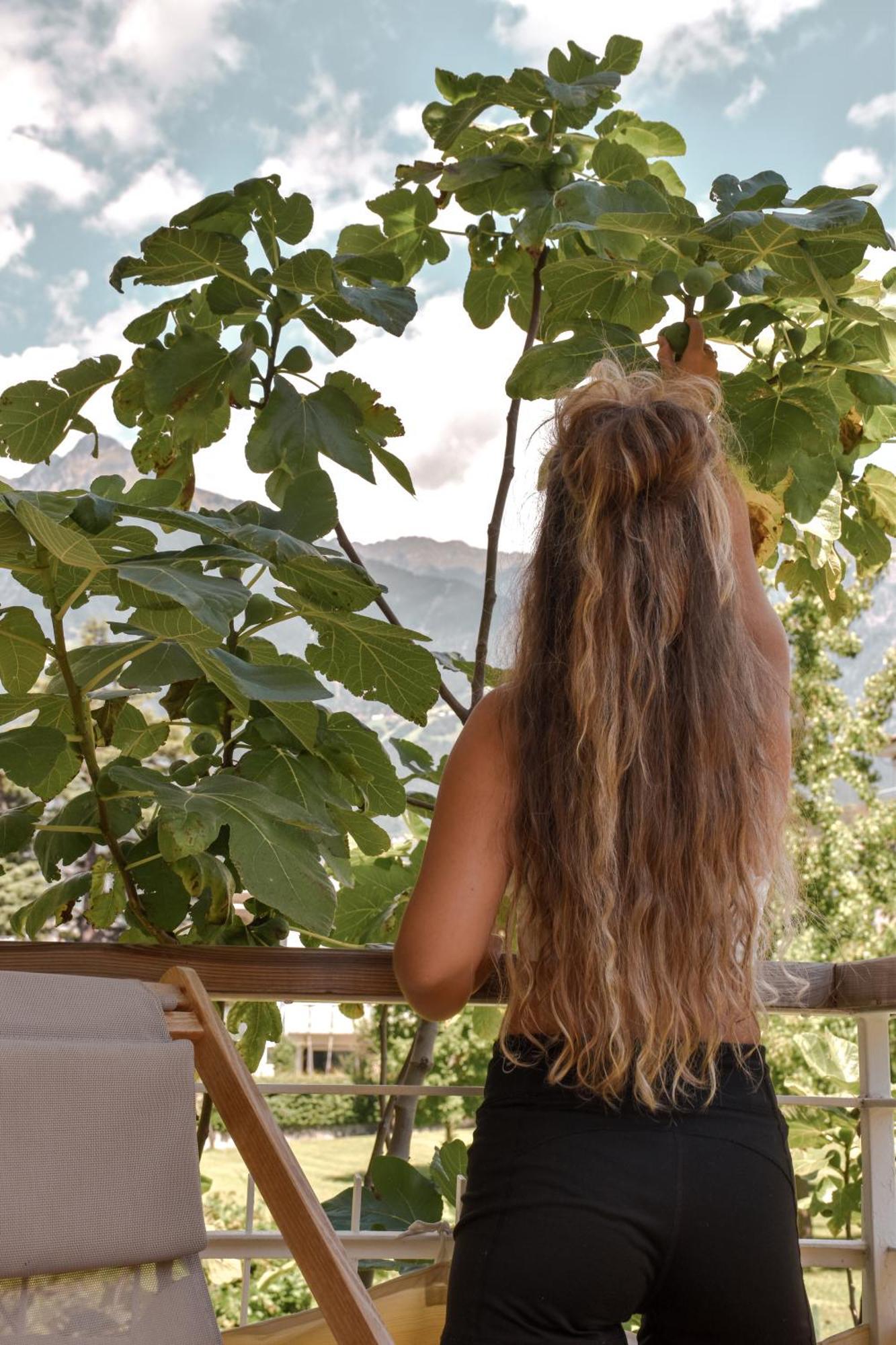 Alpimena Natur-Apartments Meran Kültér fotó